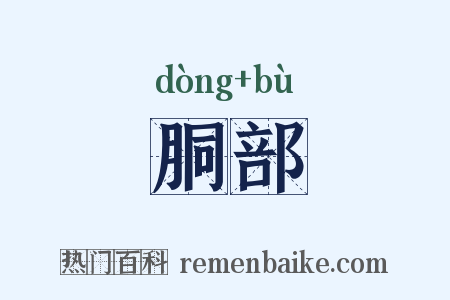 胴部是什么意思的图片